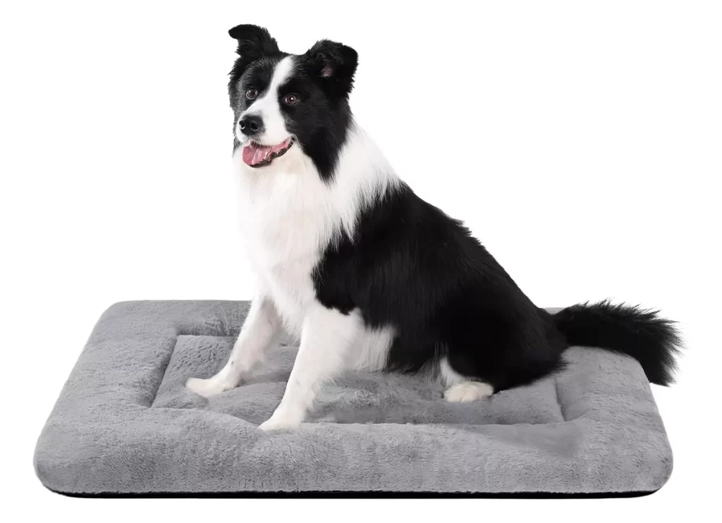 Modelo confortavel para cachorro grande